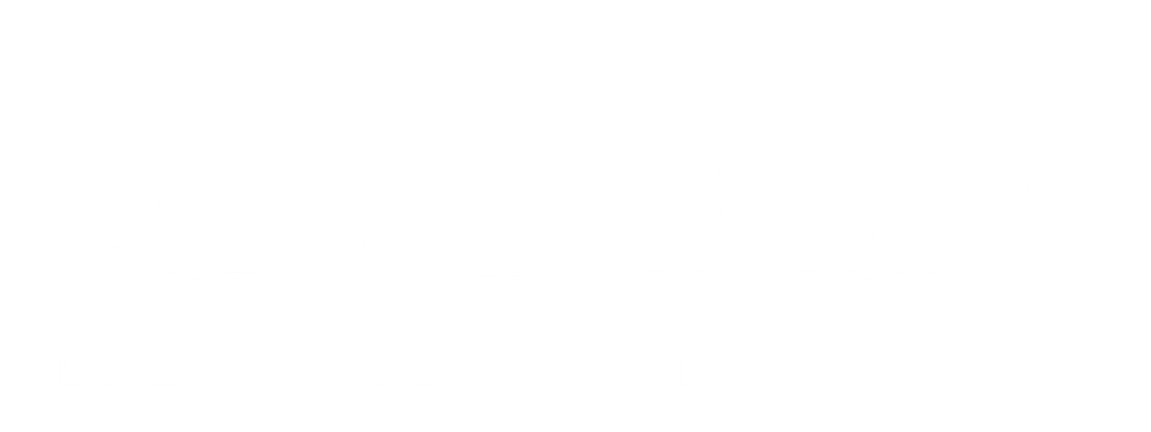 Kevin Carlson — Executive Coach